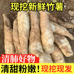 农家新鲜竹薯现挖无渣竹芋5斤当季冬粉薯凉粉薯根茎薯煲汤炒菜