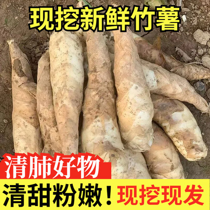 农家新鲜竹薯现挖无渣竹芋5斤当季冬粉薯凉粉薯根茎薯煲汤炒菜