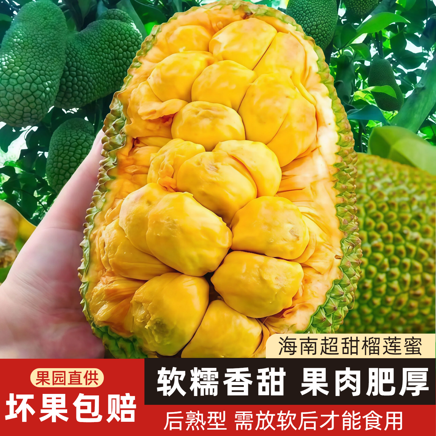 空运可选正宗海南黄肉榴莲蜜新鲜水果海红一号小个湿苞红心菠萝蜜