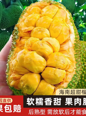 空运可选正宗海南黄肉榴莲蜜新鲜水果海红一号小个湿苞红心菠萝蜜