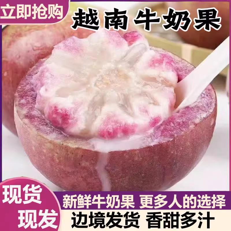 番薯新鲜现挖农家种植粉