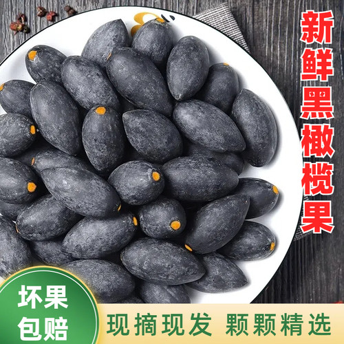 新鲜黑橄榄现摘青果潮汕特产