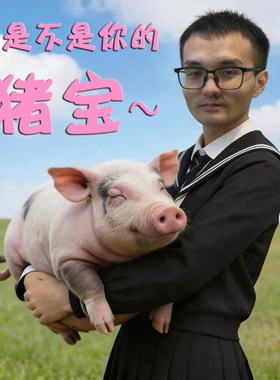 雷霆小猪猪长条睡觉抱枕儿童礼物
