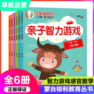 培养幼儿园推荐 智力游戏感官数学语言日常生活训练儿童个性 早教启蒙认知儿童益智游戏智力开发书籍 第二辑全6册 蒙台梭利教育丛书