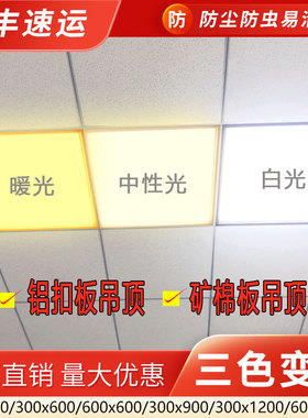 集成吊顶led平板灯厨房灯600x600铝扣板灯300x600x1200暖光嵌入式