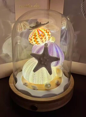 手工贝壳海星小夜灯LED装饰摆件创意礼物送女友闺蜜