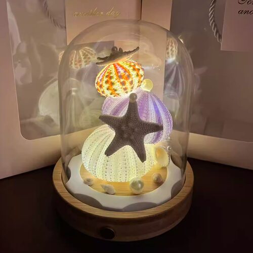 手工贝壳海星小夜灯LED装饰摆件