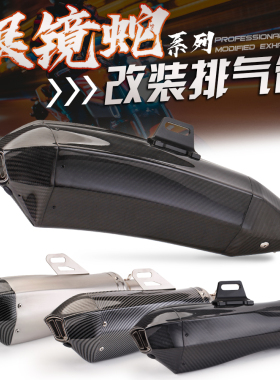 摩托车排气改装 黄龙600 NINJAH2 ZX10R眼镜蛇改装碳纤排气管