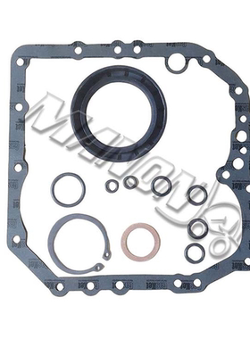 叉车配件自动波箱密封垫修理包 波箱修理包12N53-89801适用于东洋