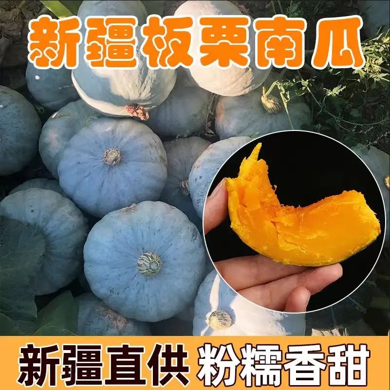 新疆原产地贵族金丝银粟板栗味宝宝辅食粉甜老南瓜蔬菜非贝贝南瓜