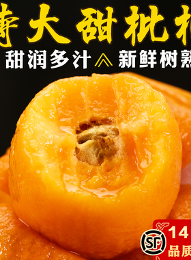 枇杷鲜果大果特甜云南大五星枇杷新鲜现摘发顺丰自然熟果5斤装