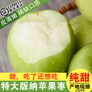 特甜苹果枣青枣礼盒云南西双版纳牛奶枣特大果纯甜皮薄脆甜发顺丰