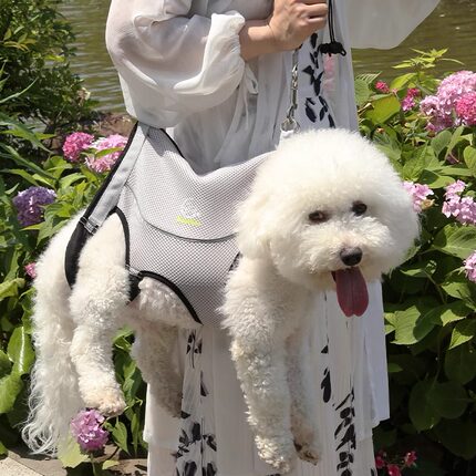 老年犬残疾犬后腿无力辅助带助力包泰迪外出携带背包宠物狗牵引绳