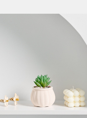 素里多肉花盆陶瓷多肉花盆摆件客厅家居装饰园艺花盆绿植盆栽