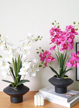 免打理陶瓷盆蝴蝶兰假花仿真花盆栽感客厅装饰家居摆件装饰品