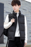 短款立领羽绒马夹男休闲日系面包服保暖外套马甲背心M211-P120，男装背心/马甲，电商A239