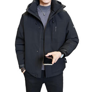 冬季新款工装羽绒服男 短款保暖羽绒外套Y11801-P248图片