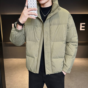 标加厚白鸭绒立领羽绒服男士短款潮牌韩版休闲外套Y5511-P195图片