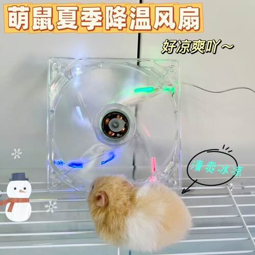 仓鼠风扇夏季降温防暑散热风扇