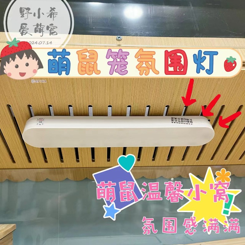 仓鼠笼子led夜灯金丝熊笼内温馨造景装饰宠物饲养箱免接线照明灯
