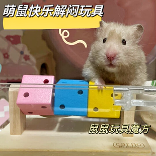 小熊DJ解闷玩具咯仓鼠趣味魔方仓鼠豚鼠用品刺猬宠物笼子造景装饰