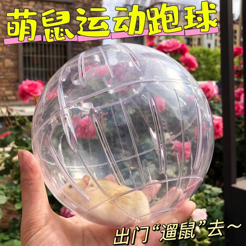 加大号仓鼠闪光跑球金丝熊解闷跑轮玩具不卡脚萌鼠全透明户外滚球