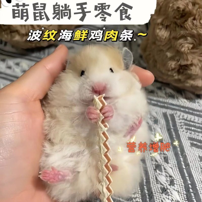 现制仓鼠零食波纹鱼条金丝熊爱吃的躺手增肥长肉美毛波纹鸡肉鱼条,宠物/宠物食品及用品,鼠粮,淘宝优惠券,粉丝福利购,淘宝优惠卷