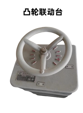 KT10-60J/1凸轮控制器25J/1 100J/1/2/3/513F14 80J起重机联动台