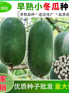 种籽早熟小冬瓜种子阳台庭院菜地爬藤毛瓜种子节瓜种籽家庭种植蔬