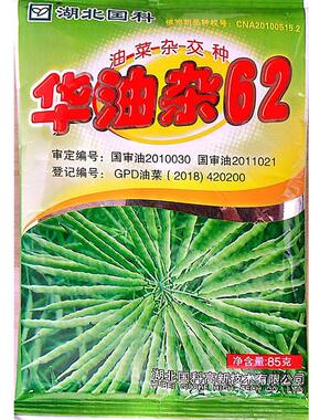 华油杂62新油菜籽种籽矮杆耐寒