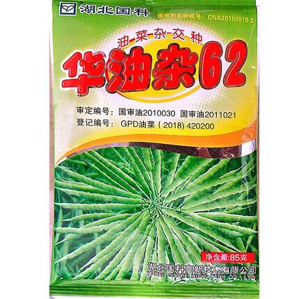 华油杂62新油菜籽种籽矮杆耐寒抗倒伏高出油率高产杂交油菜种子