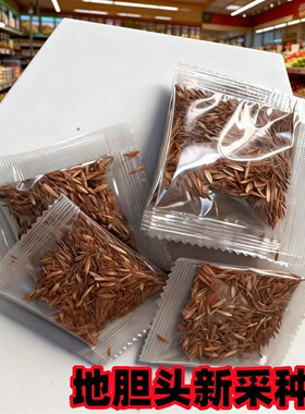 龙胆草种子中药材种籽四季种植易活地胆头磨地胆鹿耳草三花龙胆苗