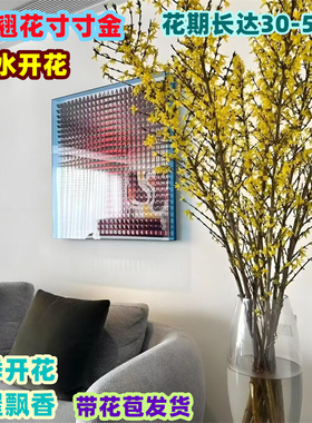 串串金干枝泡水开真花室内绿植