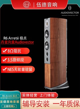 丹麦向量Audiovector R6 极点/前卫/签名 落地式音箱 国行杭州*