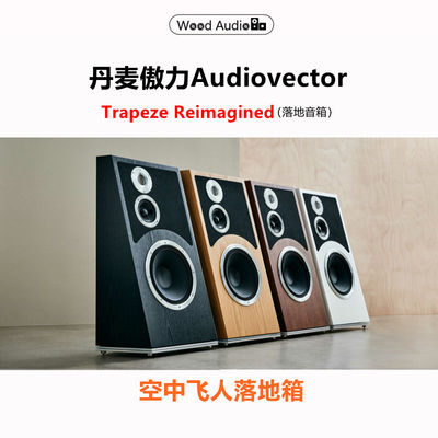 Audiovector空中飞人落地式音箱