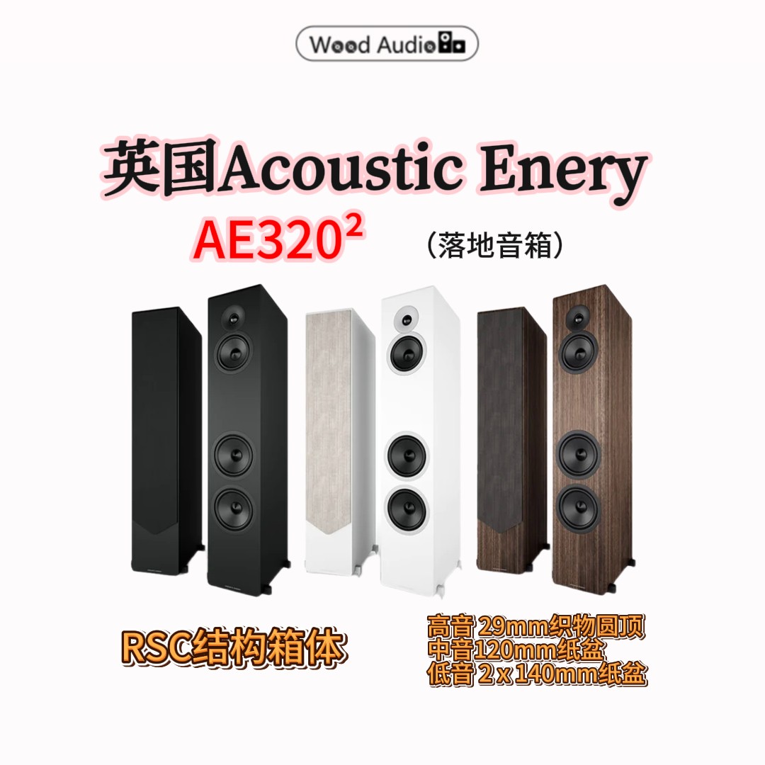 英国Acoustic Energy AE320 MK2落地音箱AE发烧级被动版国行杭州*