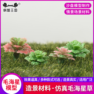沙盘模型diy手工制作材料微缩景观绿植盆栽植物毛海星草造景摆件