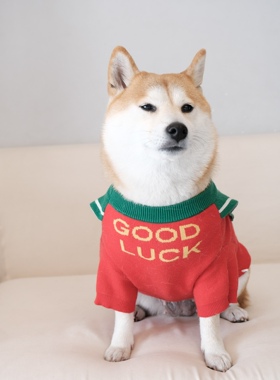 柴犬柏万宠物狗狗猫咪新年发财衣服逢赌必赢买喜庆毛衣雪纳瑞柯基