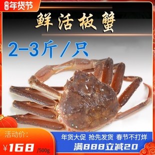 【俄罗斯鲜活松叶蟹】特大板蟹 鲜活阿拉斯加长脚蟹雪鳕蟹 大板蟹