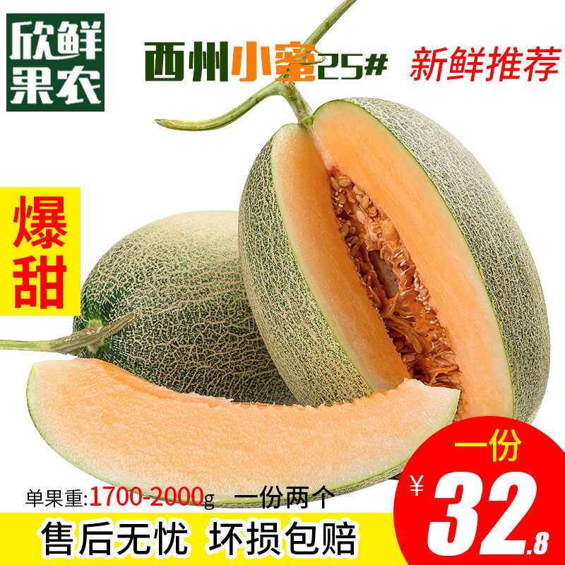 优选西州小蜜25号新疆哈密瓜  甜 蜜瓜新鲜水果包邮当季2个装包邮|msdalam kategori daging perikanan/Buah-buahan segar dan sayur-sayuran/dimasak, buah-buahan segar, Cantaloupe - dari Buy2taobao.com untuk memberikan perkhidmatan ejen Taobao profesional membeli