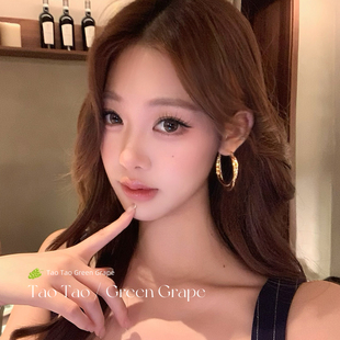 金色双层圈圈耳环女轻奢高级感气质大耳圈圆圈耳钉素圈方圆脸耳饰