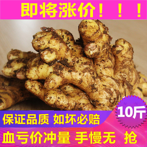 25年嫩姜云南新鲜小黄姜新鲜生姜老姜现挖现发黄姜月子姜土姜食用