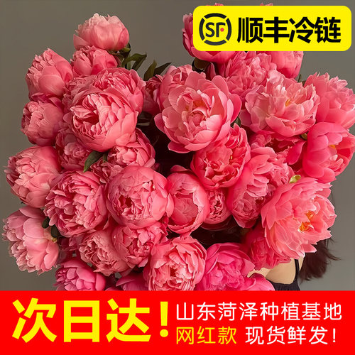 顺丰现货|基地直发|插瓶期长