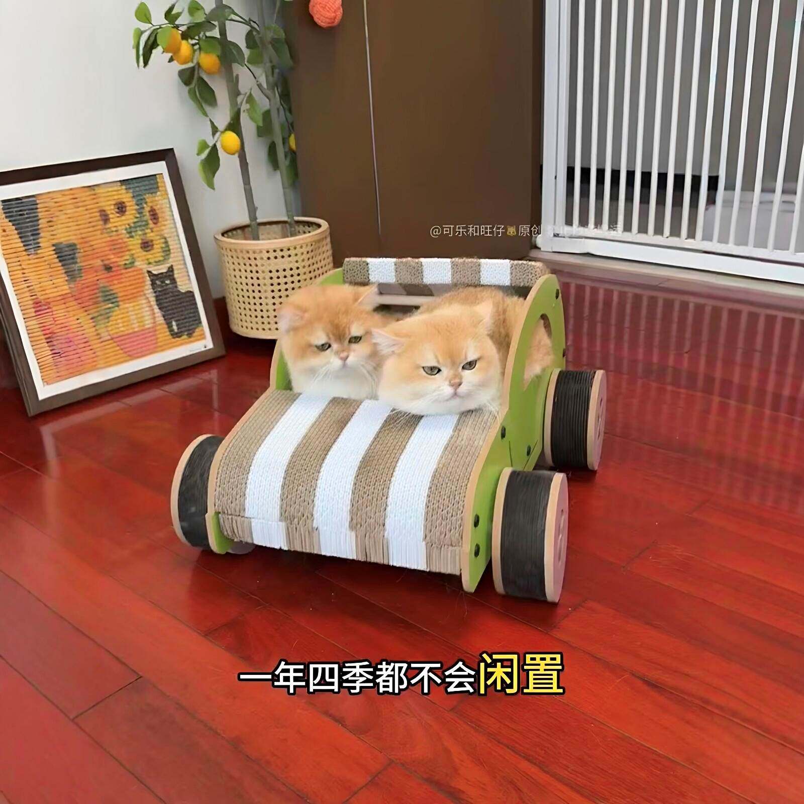 汽车猫抓板耐磨不掉屑可移动猫咪玩具自嗨解闷磨爪神器多功能猫窝