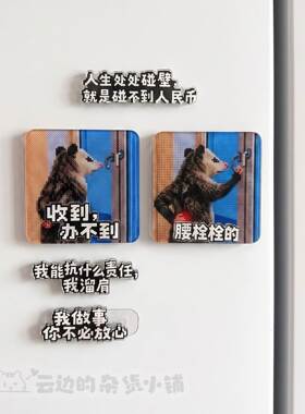 搞笑负鼠冰箱贴磁贴个性创意磁吸装饰品可爱小物件卡通冰箱装饰