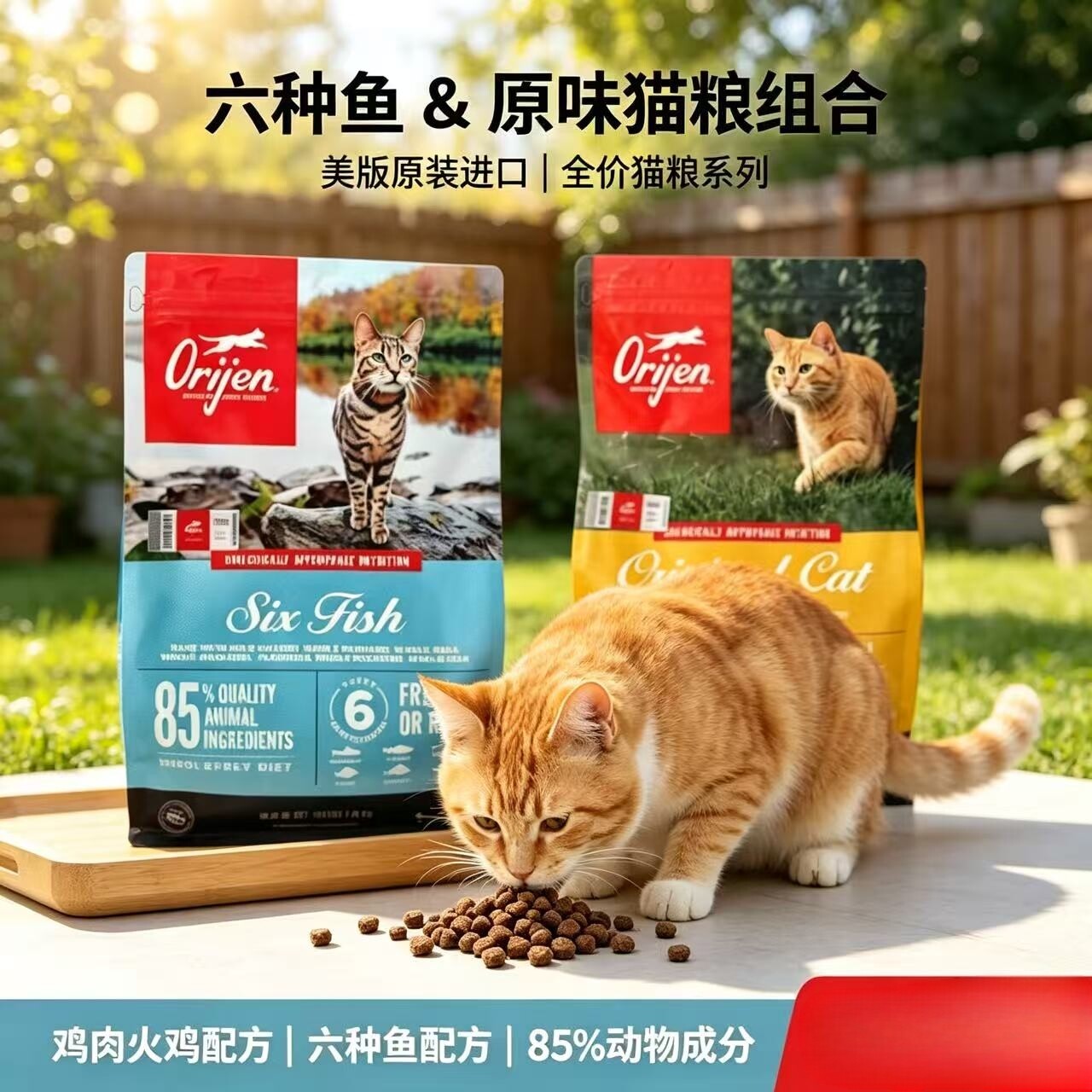 渴望八重守护进口正品美版猫粮鸡肉六种鱼成猫幼猫全阶段低敏增肥