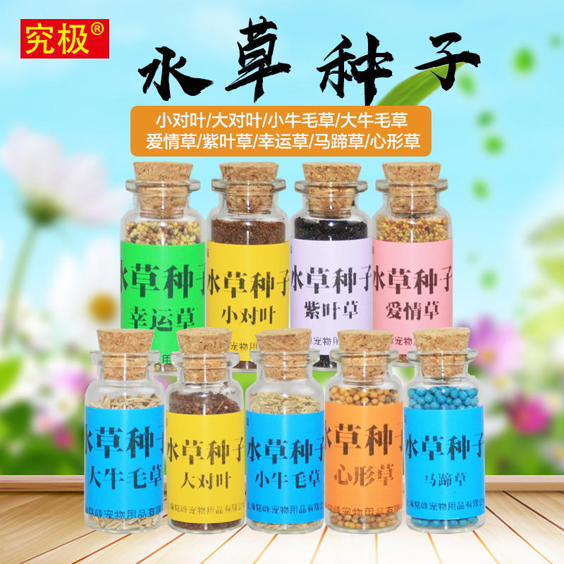 水草种子鱼缸前景草牛毛草大小对叶迷你矮爱情草紫叶草幸运水草籽 百泽宠物用品专营店