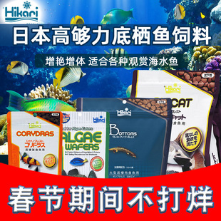 日本进口Hikari高够力鼠鱼底栖异型鱼胡子大凡清道夫素食肉食饲料