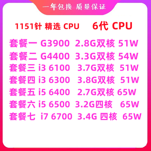 6700 6300 6100 6500 英特尔酷睿G3900 6400 CPU