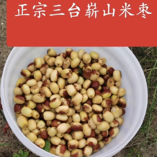 现摘 现发发三台崭山永新新鲜米枣 露天青枣 甜脆 化渣 5斤陆运